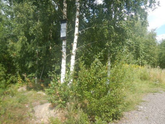 Аренда земельного участка 12 сот., ИЖС, Санкт-Петербург