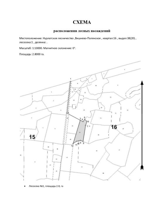 Лесные насаждения, Татарстан