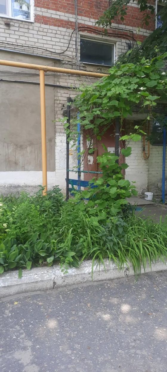 Жилой дом 99,1 м², с. Дальняя Полубянка, Воронежская обл.