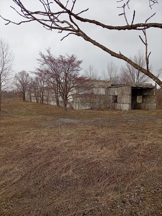Нежилое здание 1 369,4 м², с. Марусино, Хабаровский край