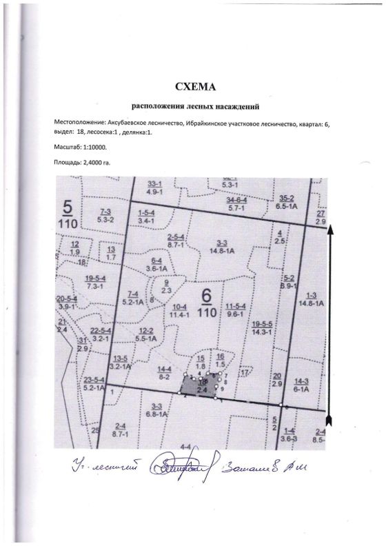 Лесные насаждения, Татарстан