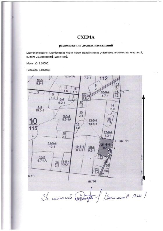 Лесные насаждения, Татарстан