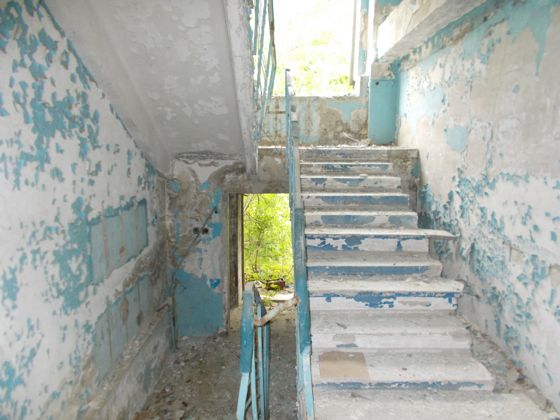 Нежилое здание 1 110,6 м², Северск