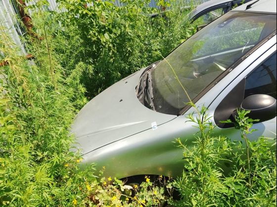 Peugeot 206, 2008