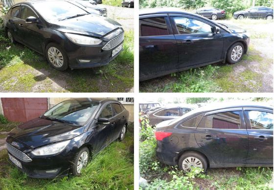 Ford Focus, 2019