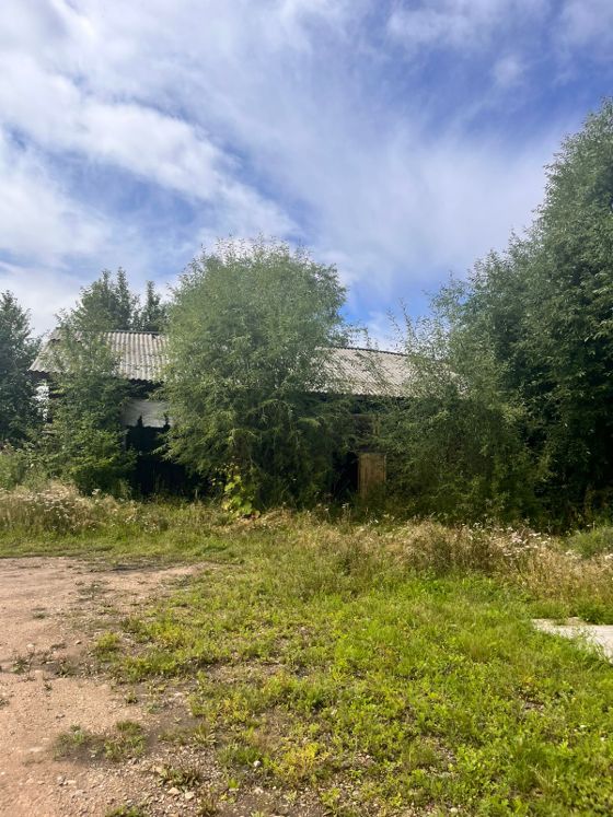 Лесной участок, с. Пивовариха, Иркутская обл.