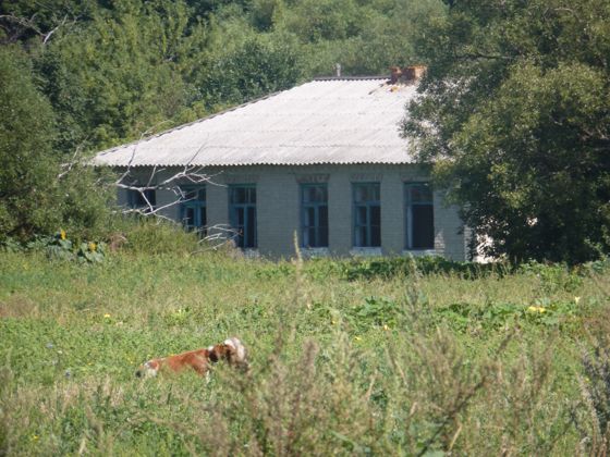 Нежилое здание 155,6 м² с участком, Липецкая обл.