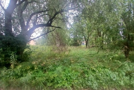 Земельный участок 11 сот., ИЖС, Тверская обл.