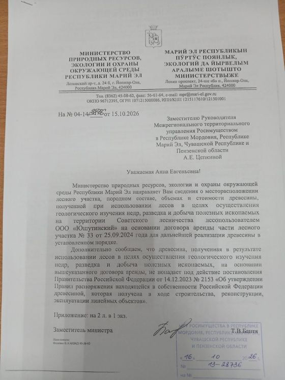 Древесина