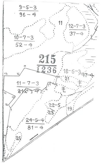Земельный участок 49,4 га, Амурская обл.