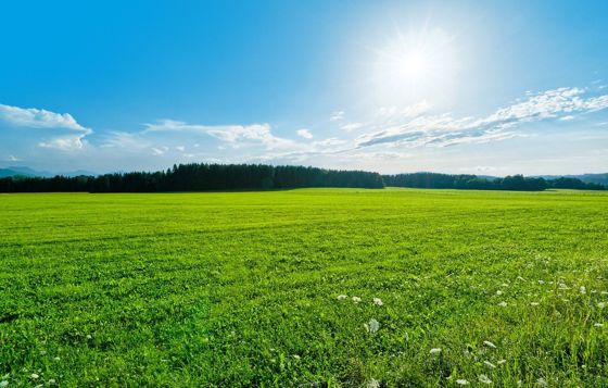 Аренда земельного участка 12 сот., ИЖС, Кемеровская обл.
