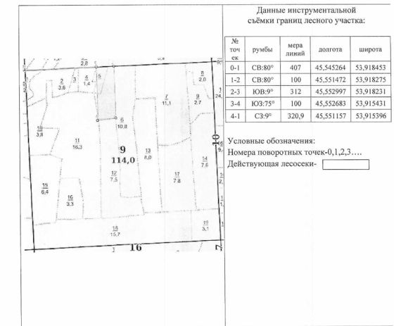 Лесные насаждения, Пензенская обл.