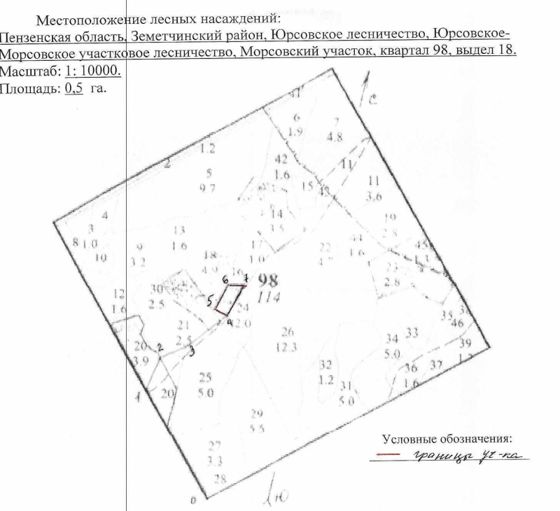 Лесные насаждения, Пензенская обл.