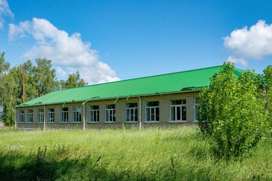 Имущественный комплекс 17 086 м², с. Васильевка, Липецкая обл.