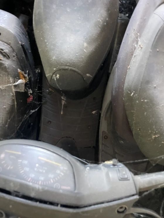 Мопед Honda Dio