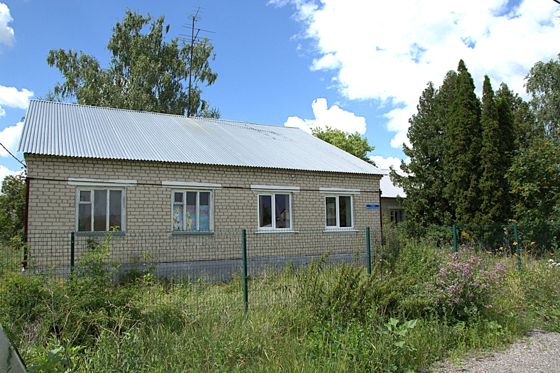 Земельный участок 40 сот., с. Дмитряшевка, Липецкая обл.