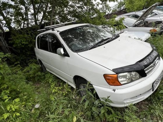 Toyota Ipsum
