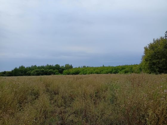 Аренда земельного участка 32 сот., под гараж, Тамбовская обл.