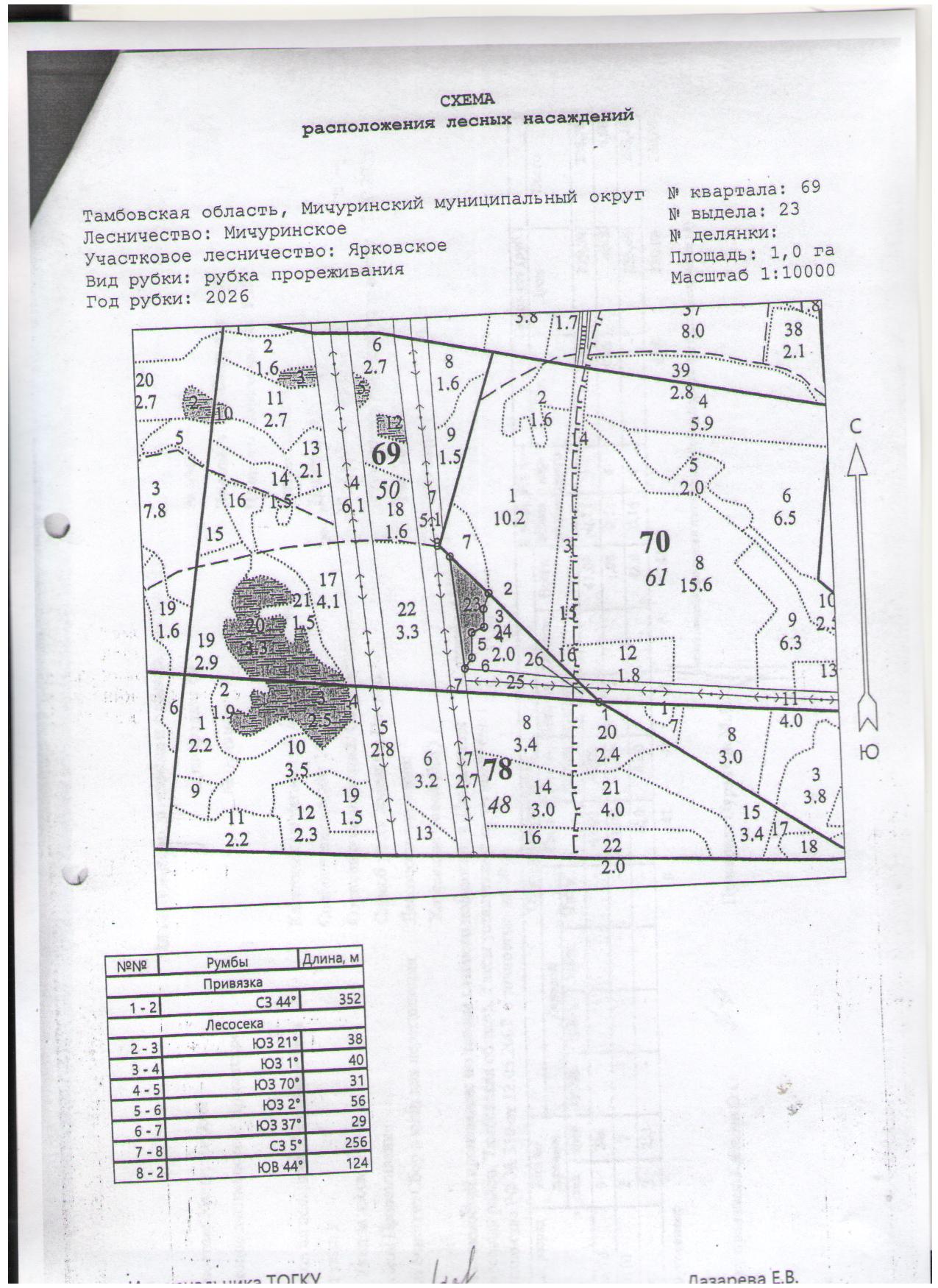 Лесные насаждения, Тамбовская обл.