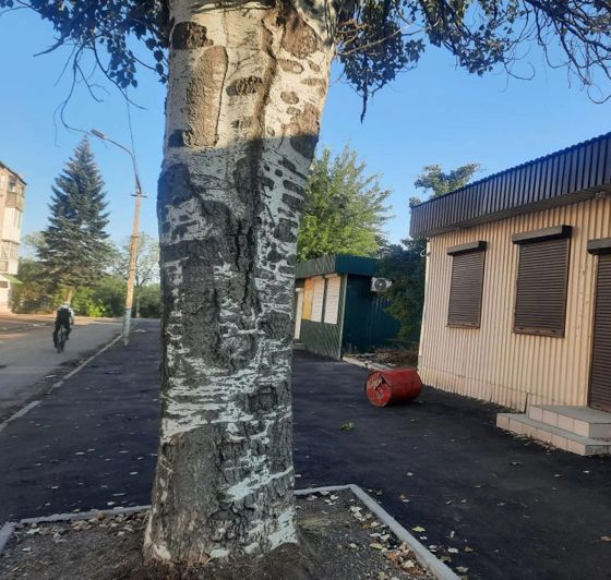Место для нестационарного торгового объекта, Докучаевск, ул. Лихолетова