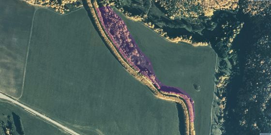 Аренда земельного участка 3,34 га, сельхозназначение, Татарстан