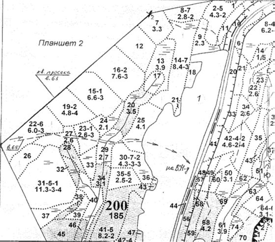 Лесные насаждения, Новгородская обл.