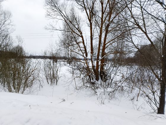 Аренда земельного участка 9 га, сельхозназначение, д. Крыловка, Рязанская обл.