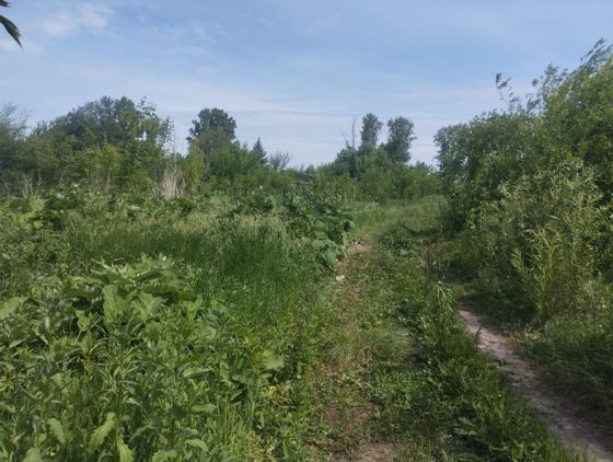 Земельный участок 17 сот., с. Поярково, Амурская обл.