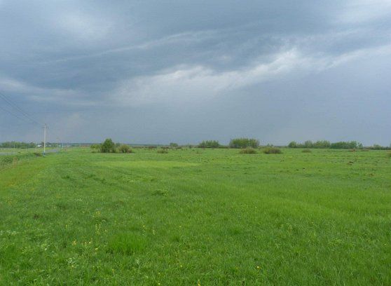 Аренда земельного участка 18 сот., ЛПХ, Рязанская обл.