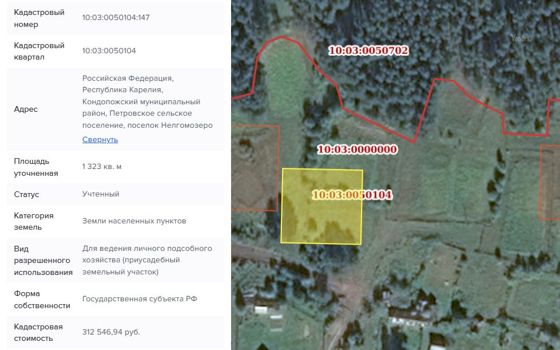 Аренда земельного участка 13 сот., ЛПХ, п. Нелгомозеро, Карелия