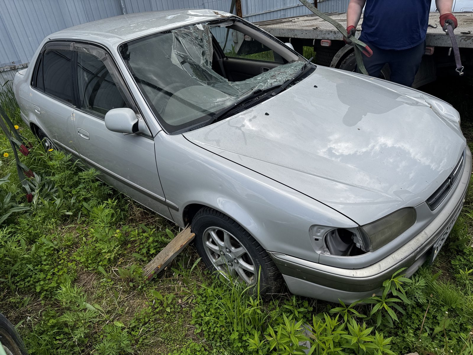 Toyota Corolla, 1989