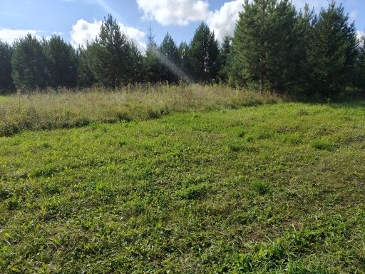 Аренда земельного участка 12 сот., с. Нечкино, Удмуртия