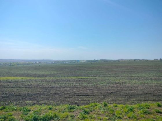 Земельный участок 10 сот., ИЖС, п. Стрелица, Воронежская обл.