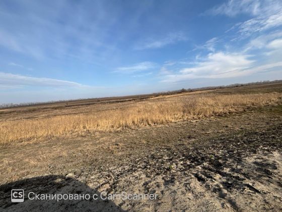 Земельный участок 39,9 га, сельхозназначение, Воронежская обл.
