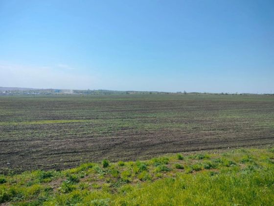 Земельный участок 10 сот., ИЖС, Воронежская обл.