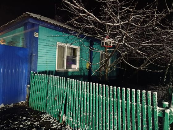 Жилой дом 81,8 м², п. Петровское, Воронежская обл.