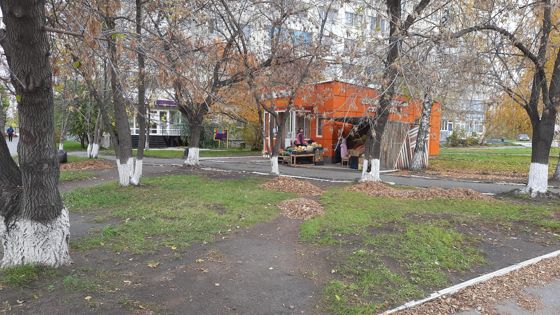 Место для нестационарного торгового объекта, Курган, ул. Карбышева