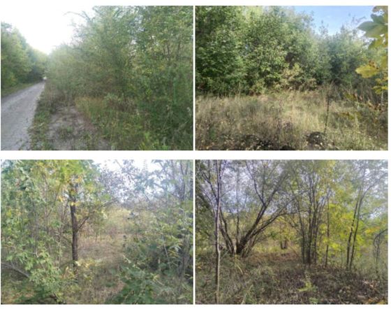Аренда земельного участка 10 сот., ИЖС, п. Семеновка, Самарская обл.