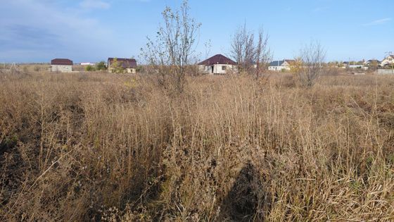 Аренда земельного участка 9,9 сот., ИЖС, Волгоградская обл.