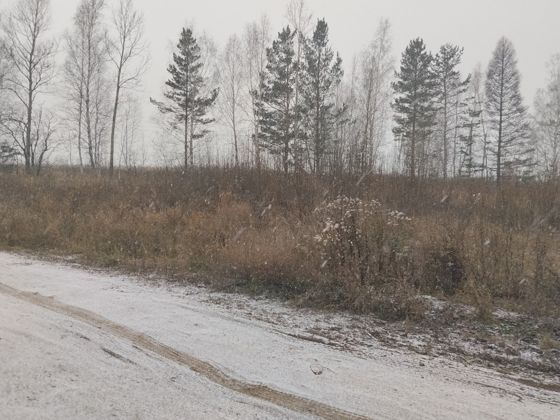 Аренда земельного участка 15 сот., п. Нижнеудинское, Иркутская обл.
