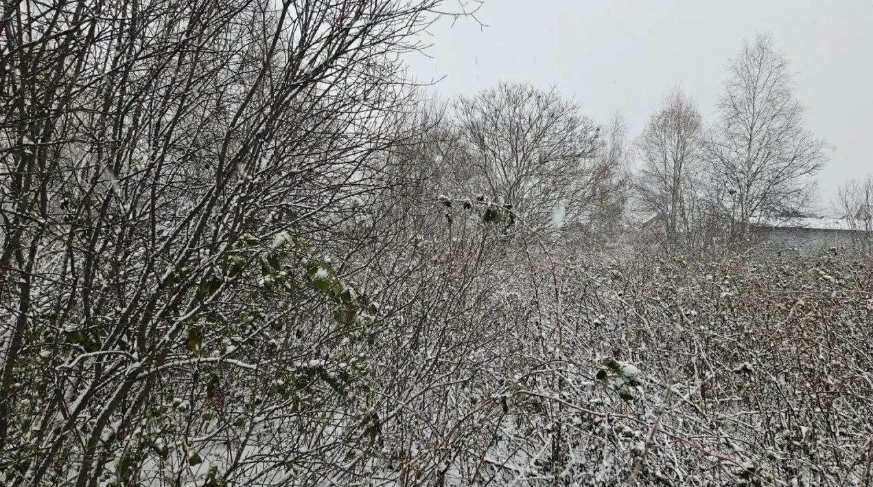 Аренда земельного участка 11 сот., ИЖС, с. Демьянское, Тюменская обл.