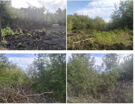 Аренда земельного участка 9,9 сот., ИЖС, п. Семеновка, Самарская обл.