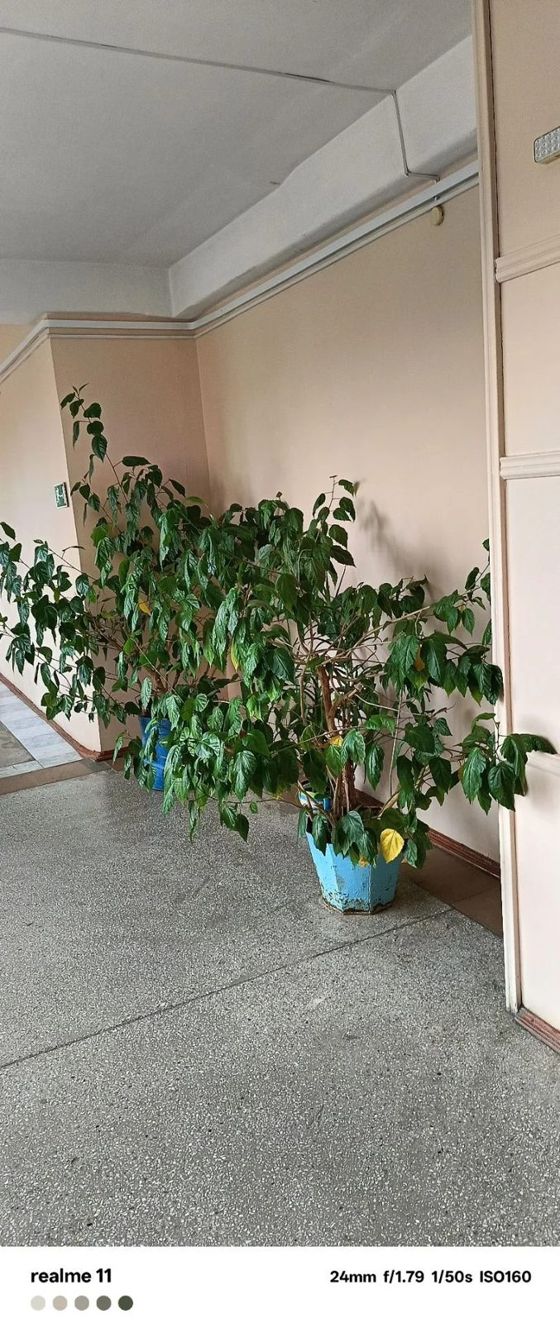 Аренда нежилого помещения 2 м², пгт Ясногорск, Забайкальский край