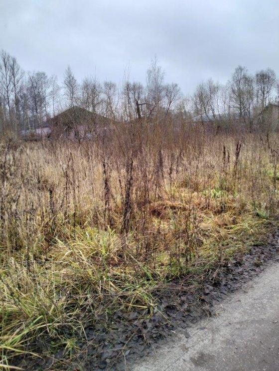 Аренда земельного участка 25 сот., многоэтажная застройка, Гусь-Хрустальный