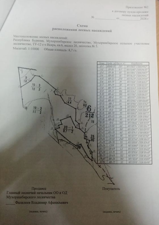 Лесные насаждения, Бурятия