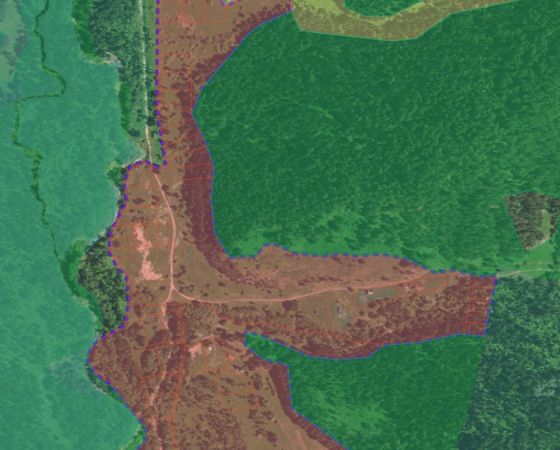Земельный участок 12 сот., ИЖС, с. Кара-Торбок, Алтай