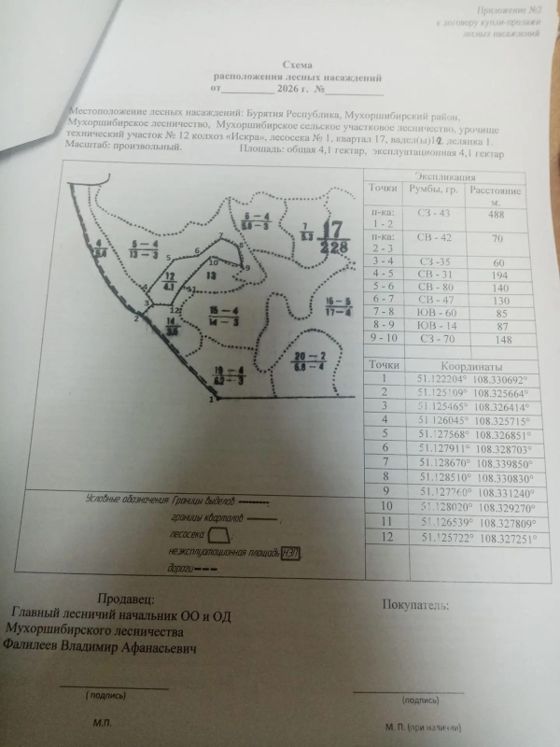 Лесные насаждения, Бурятия