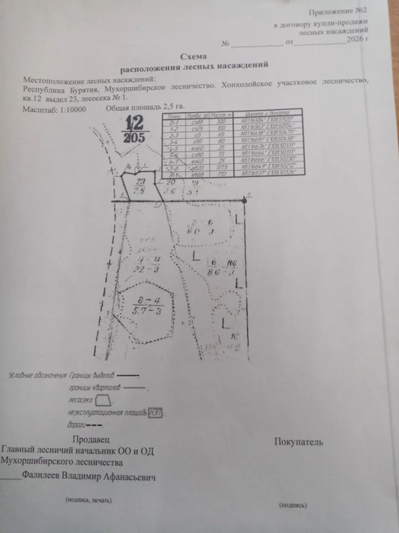 Лесные насаждения, Бурятия