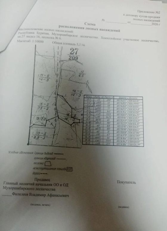 Лесные насаждения, Бурятия