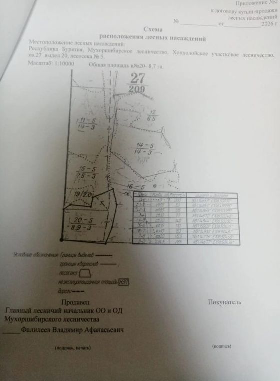 Лесные насаждения, Бурятия